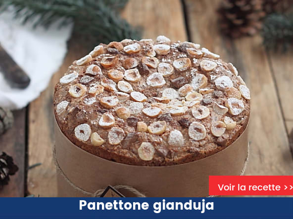 Panettone gianduja